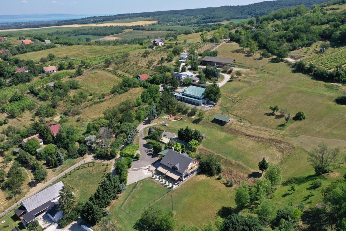 Borkuti Panzio Es Apartman Balatonszárszó Dış mekan fotoğraf